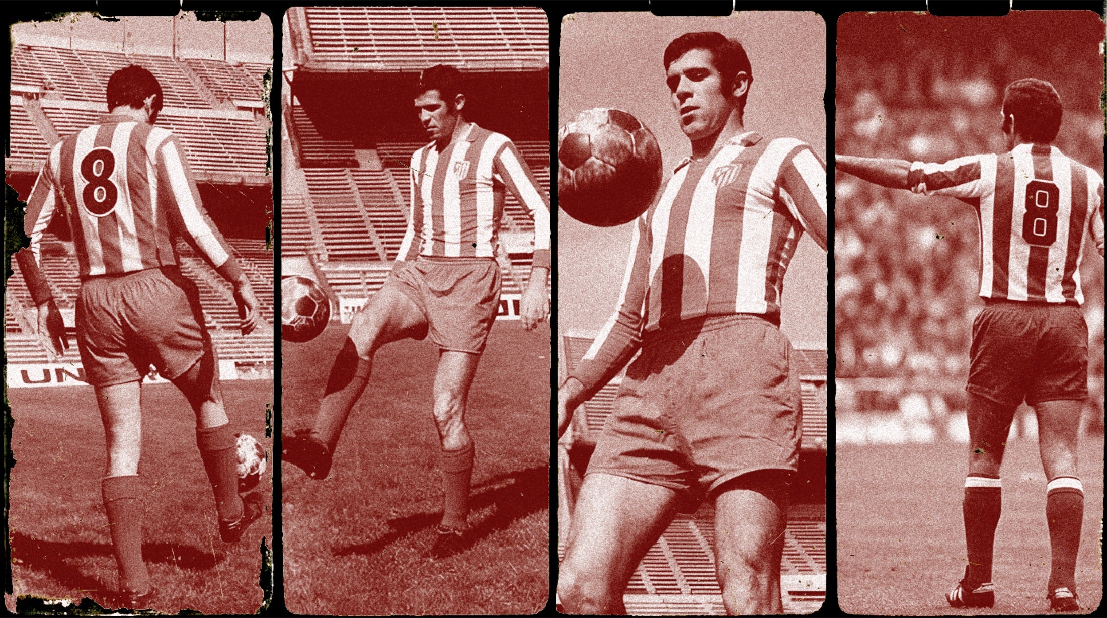 Banner Tribu Rojiblanca